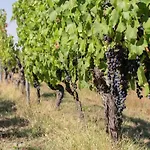 Guest House In Monferrato With Wine Tasting *