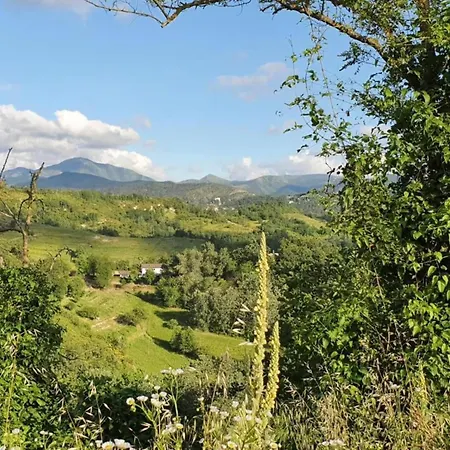 In Monferrato With Wine Tasting Casa vacanze