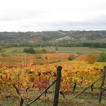 In Monferrato With Wine Tasting