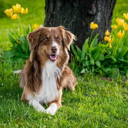 Casa vacanze In Monferrato With Wine Tasting *