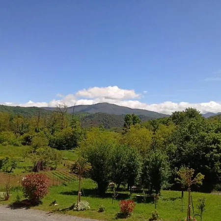 Casa vacanze In Monferrato With Wine Tasting Rocca Grimalda