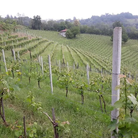 بيت للعطل In Monferrato With Wine Tasting *
