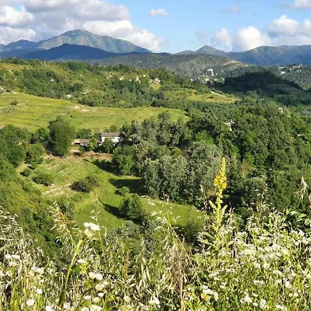 In Monferrato With Wine Tasting Casa vacanze