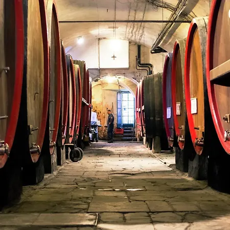 In Monferrato With Wine Tasting بيت للعطل *