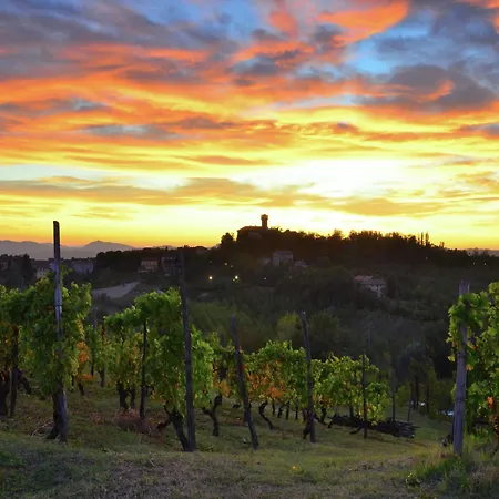 بيت للعطل In Monferrato With Wine Tasting *