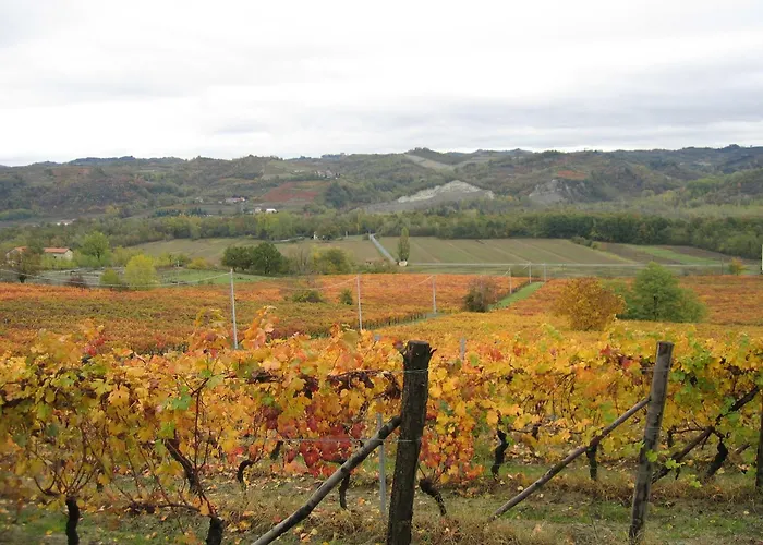 In Monferrato With Wine Tasting
