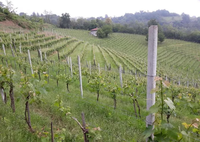 Feriehus In Monferrato With Wine Tasting *