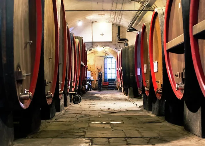 In Monferrato With Wine Tasting Σπίτι διακοπών *